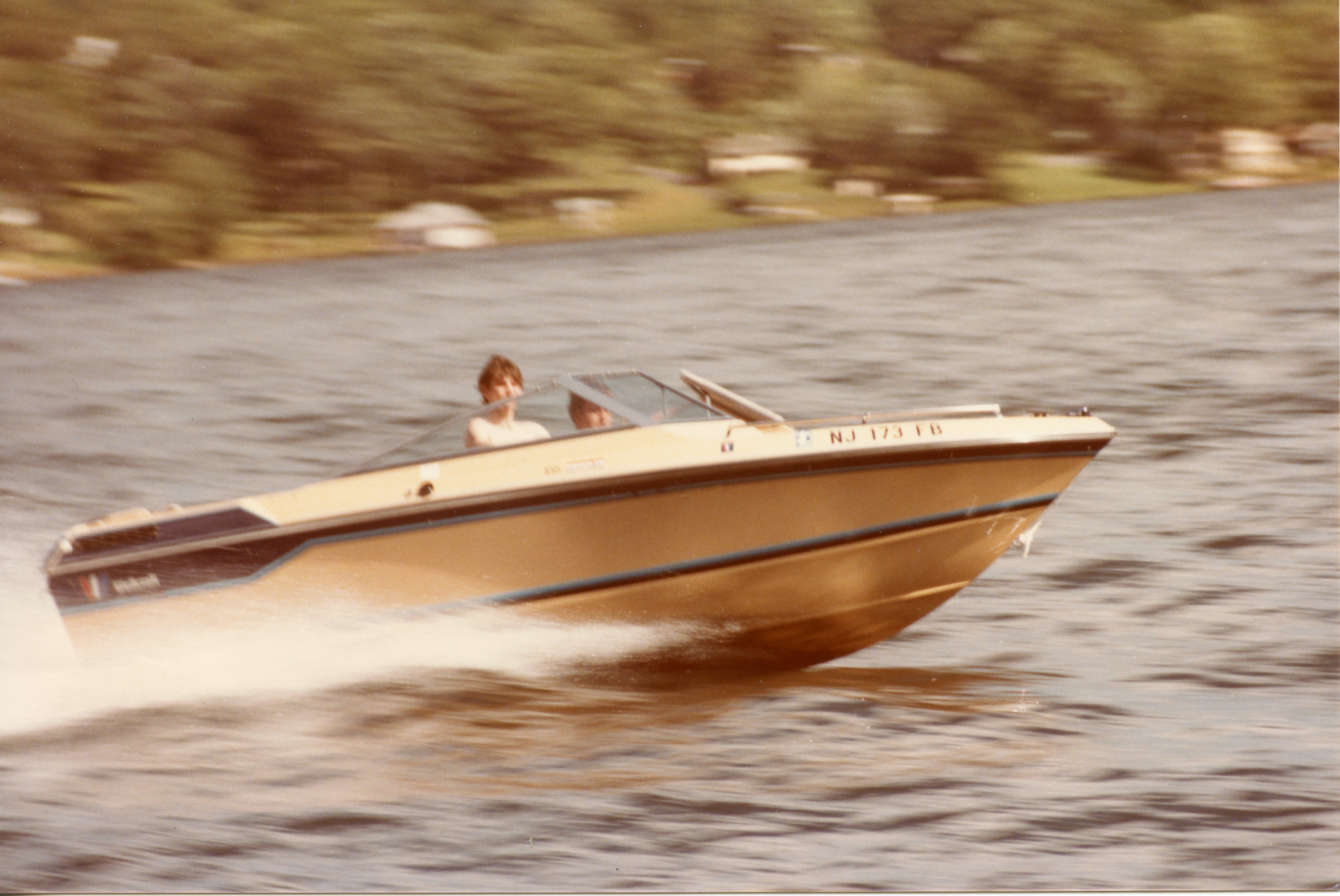 Wellcraft 166 American