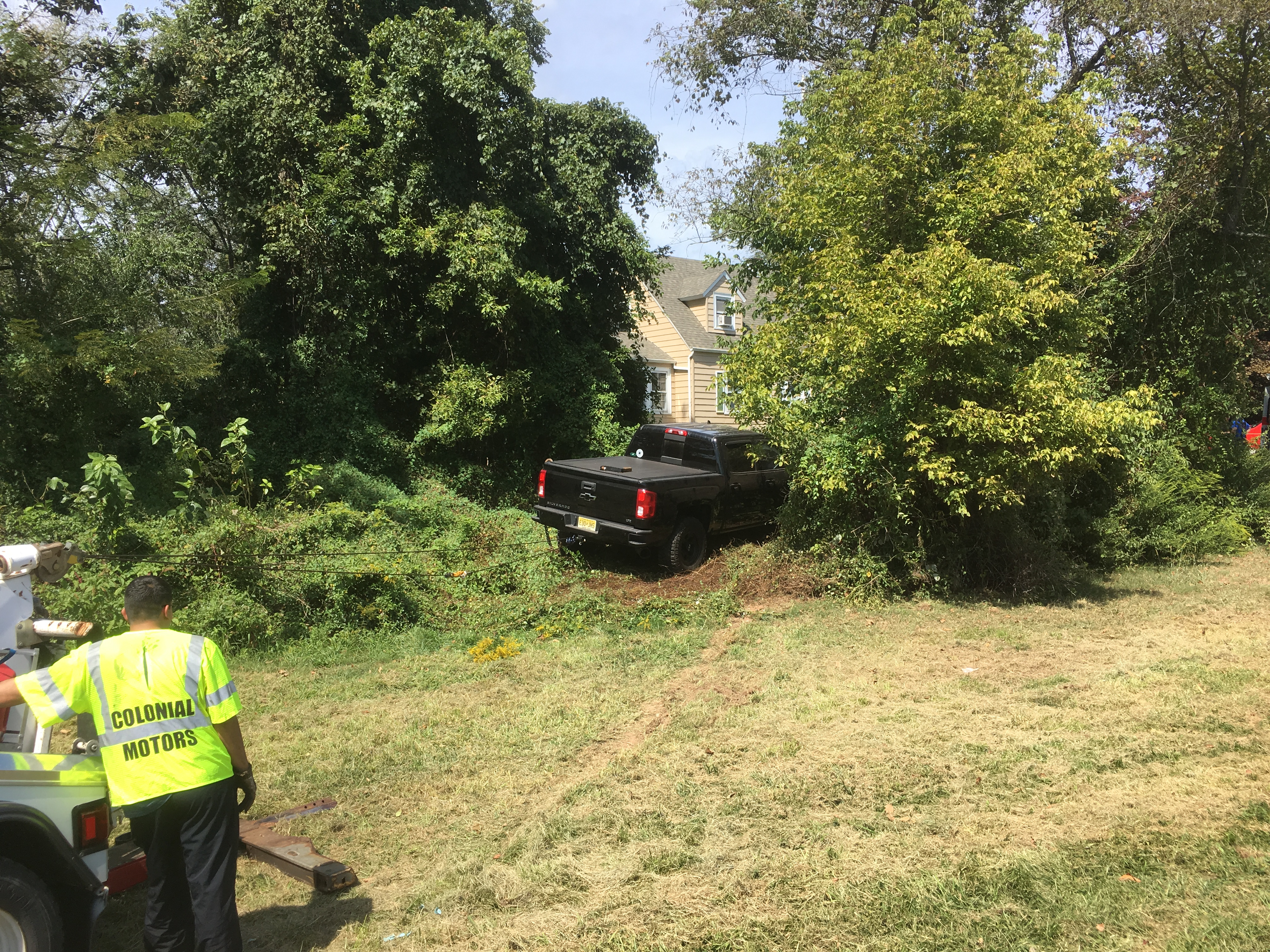 Truck went though this group of trees