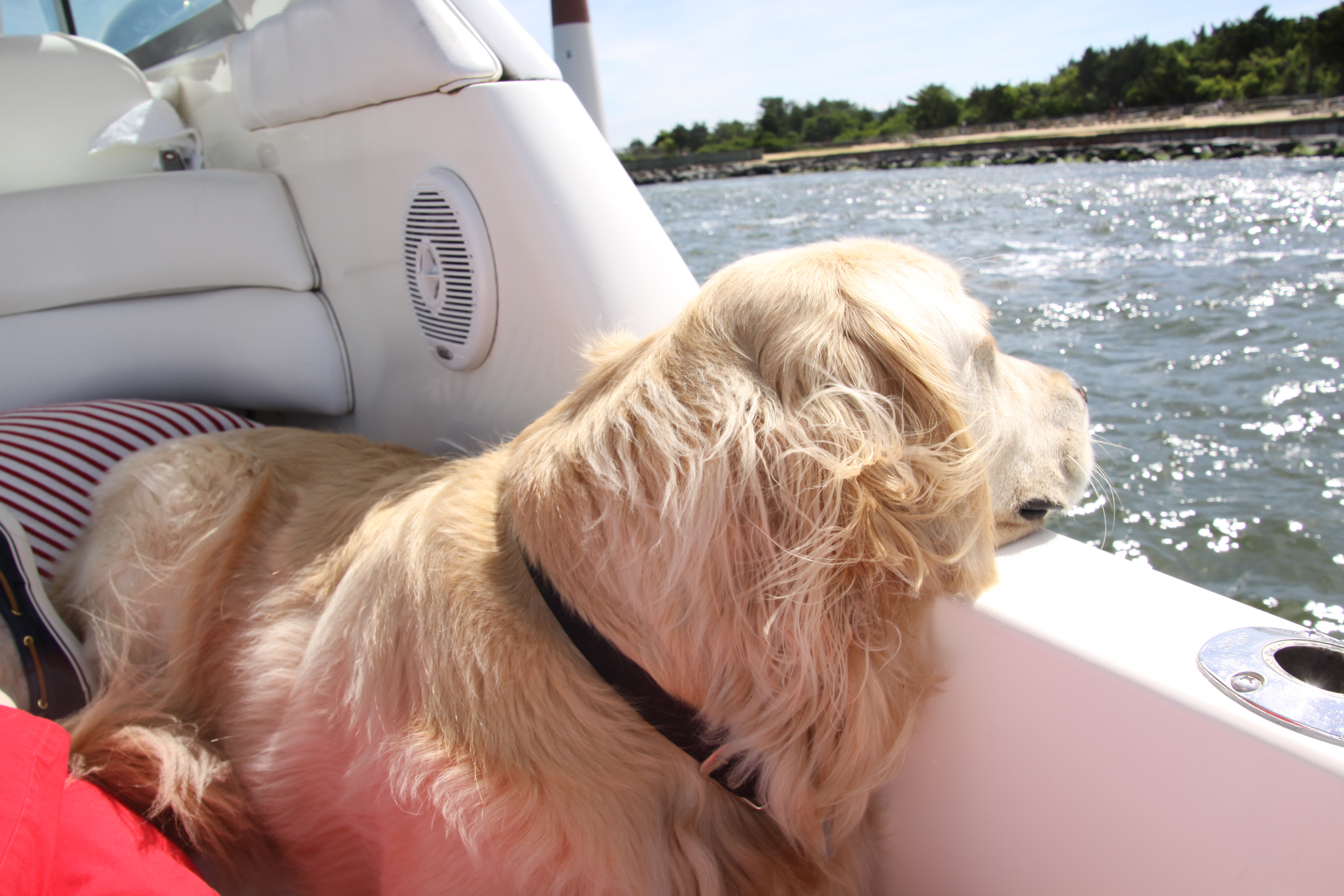 Mason watching Old Barney go by...