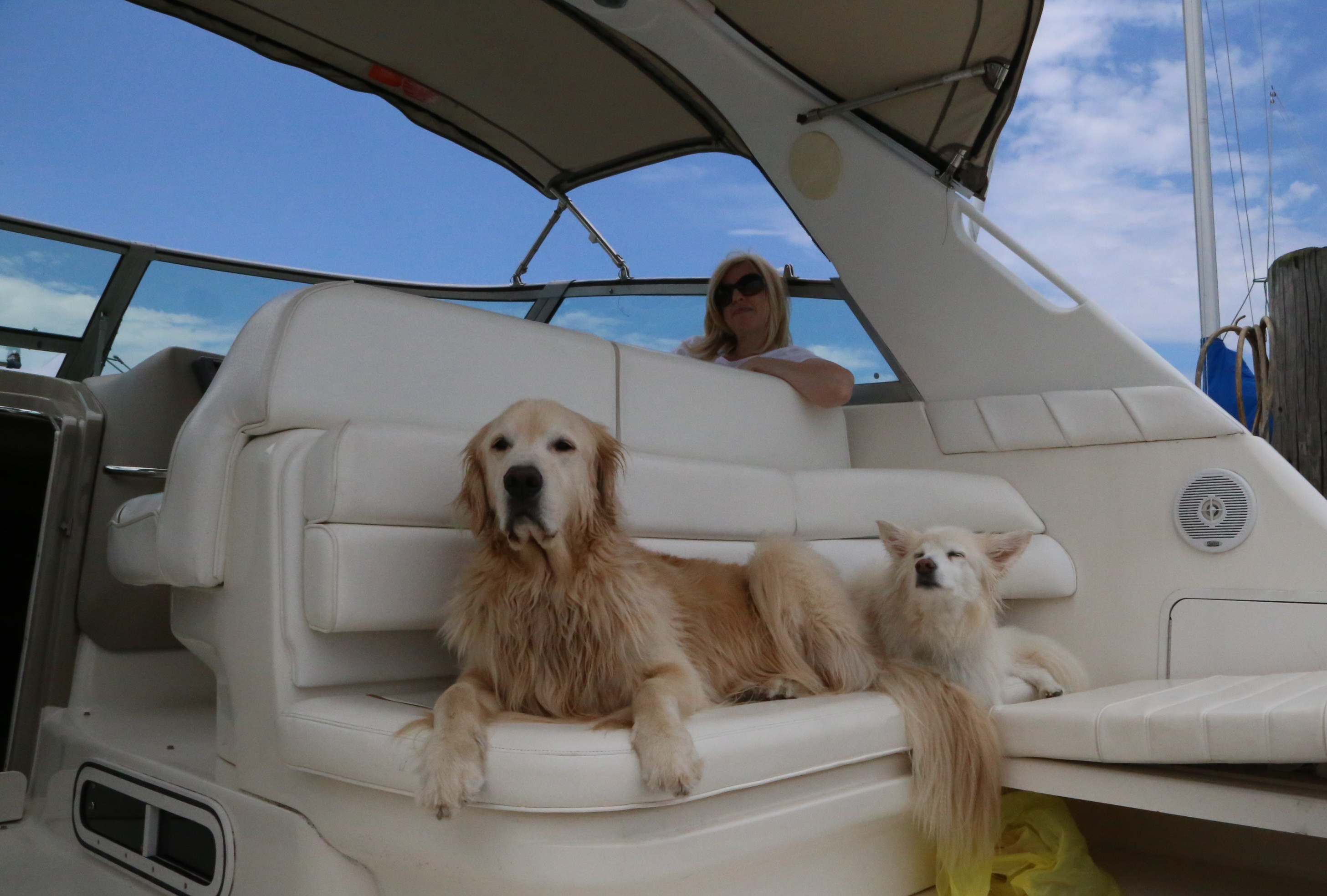 Mason and Chloe awaiting departure.