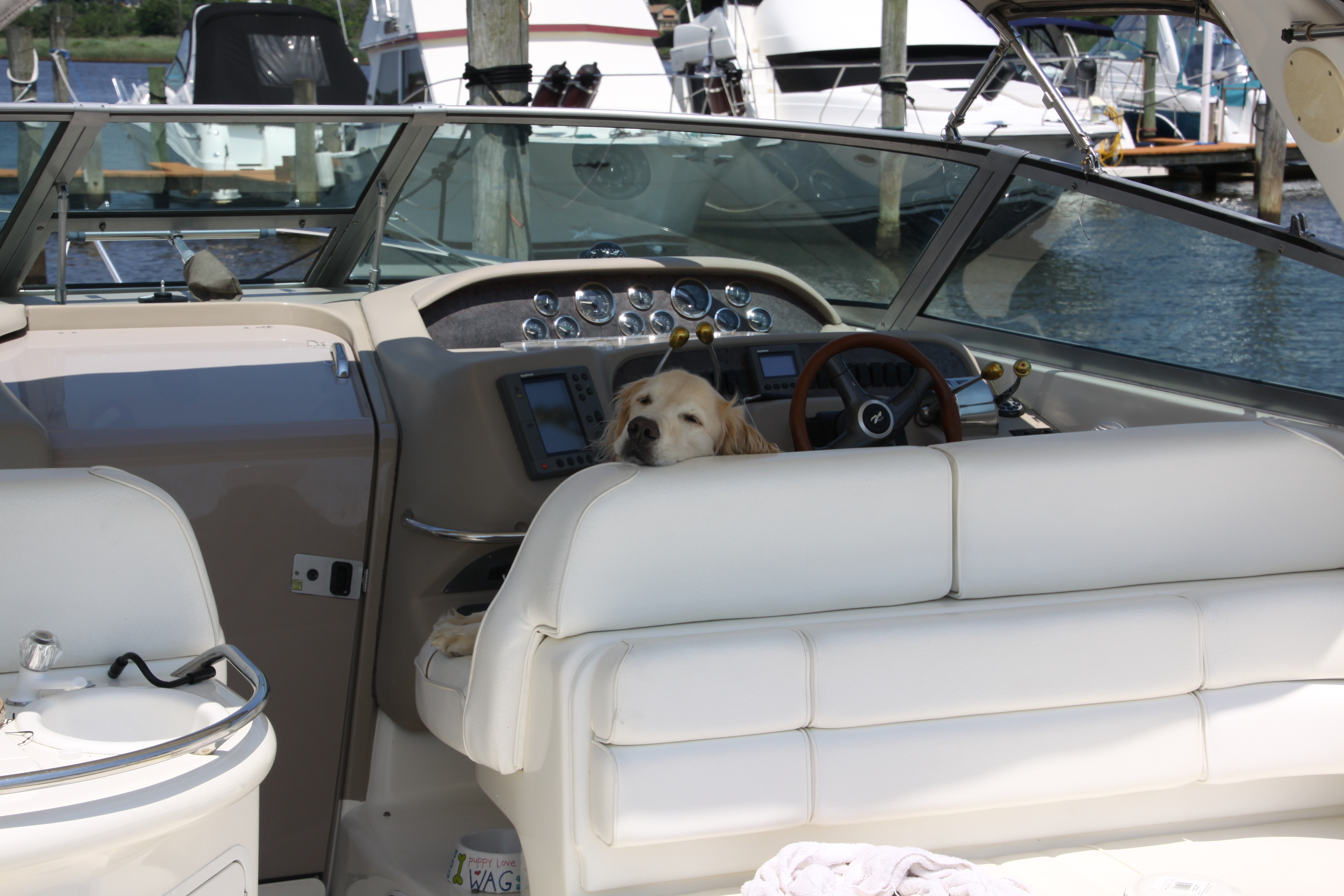 Mason relaxing at the helm, where he is not supposed to be!