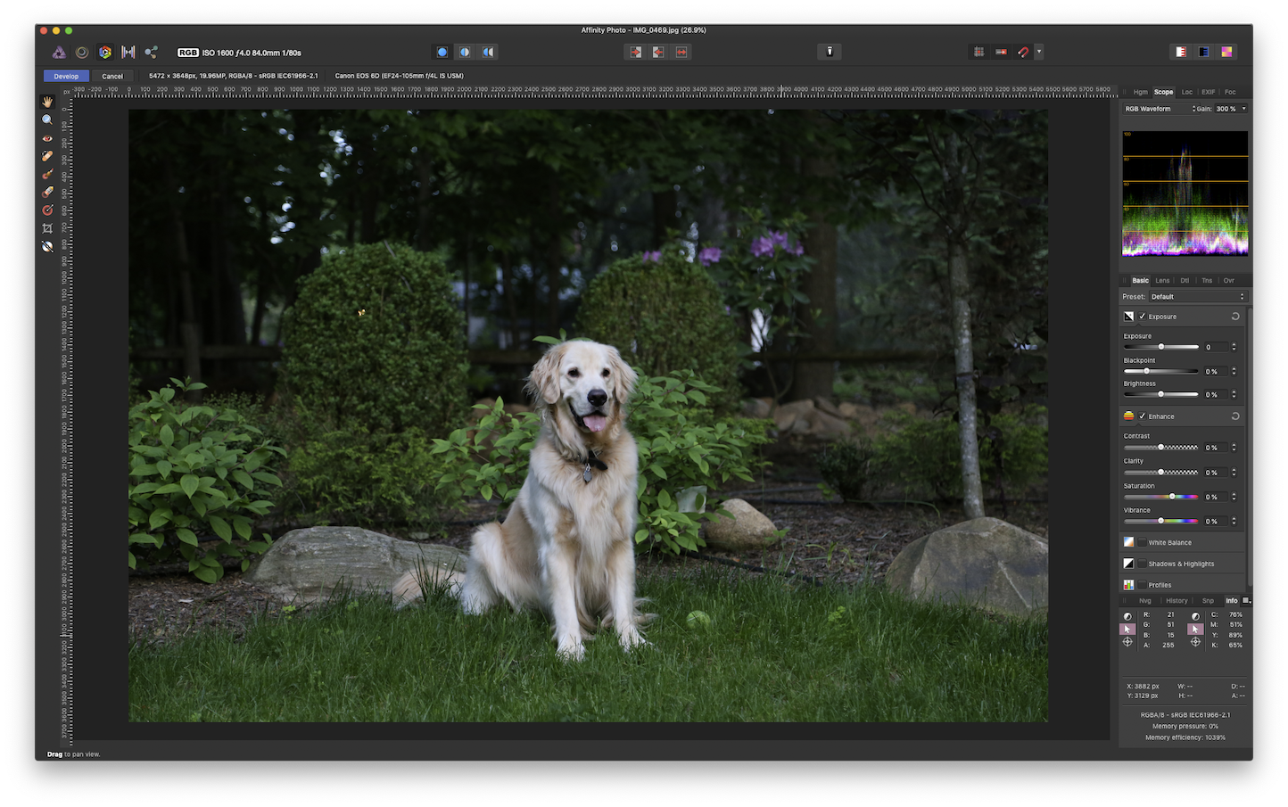 Affinity Photo - develop mode