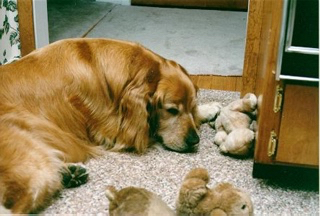 Ducky with some of his toys